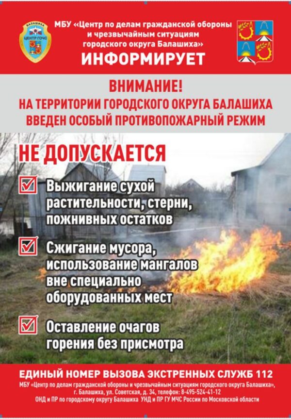 Снимок